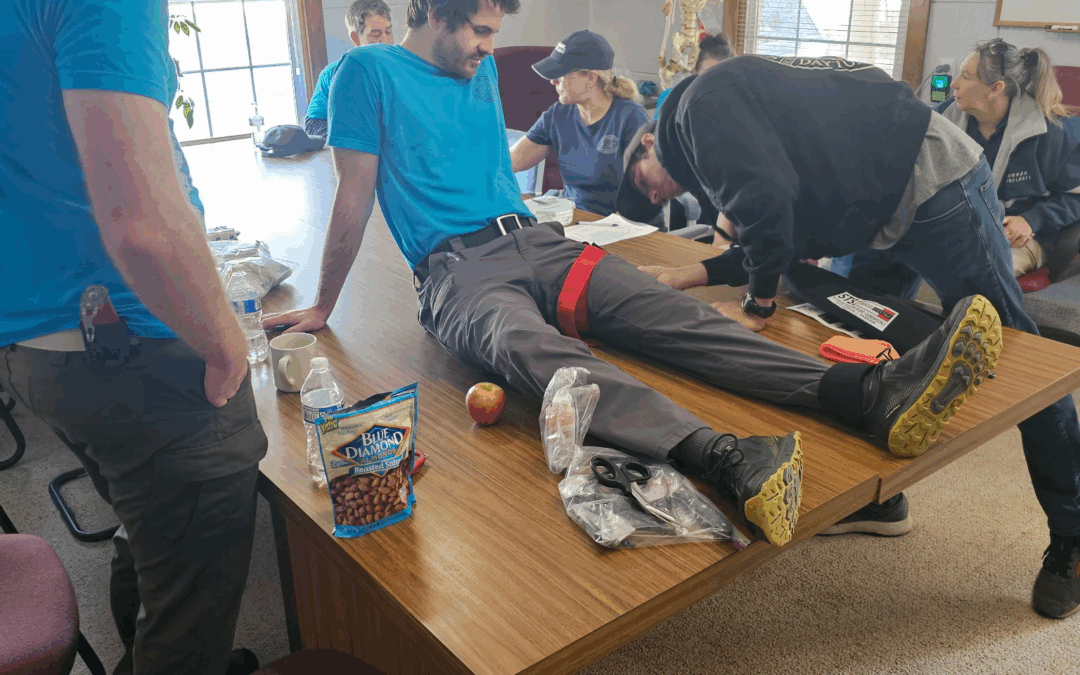 Ready, Set, Go! Splinting Training Success!